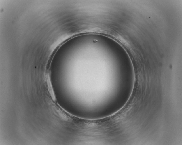 X0000089361230200707061041