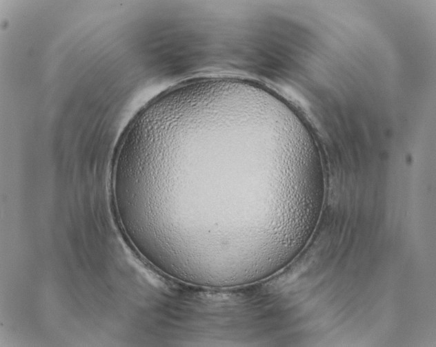 X0000089361231200707061041