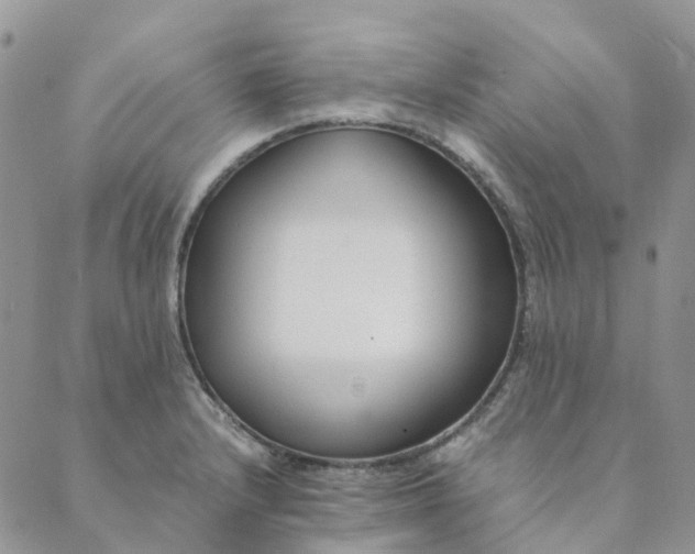 X0000089361232200707061041