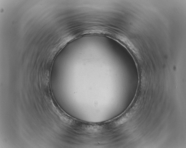 X0000089361233200707061041