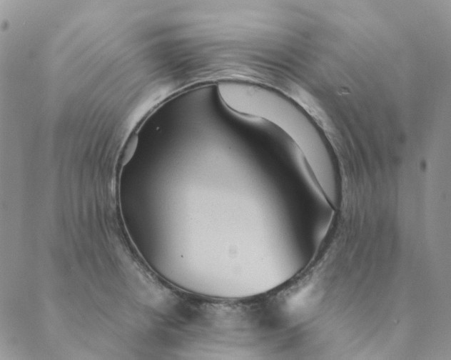 X0000089361234200707061041