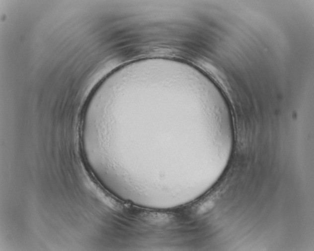 X0000089361235200707061041