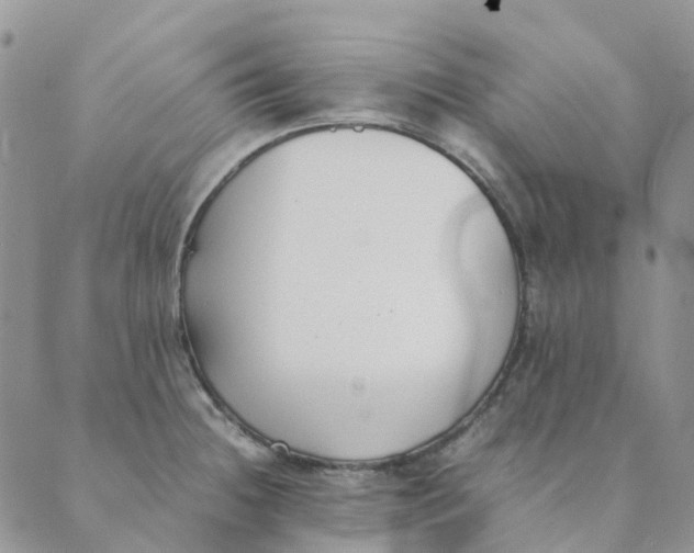 X0000089361236200707061041