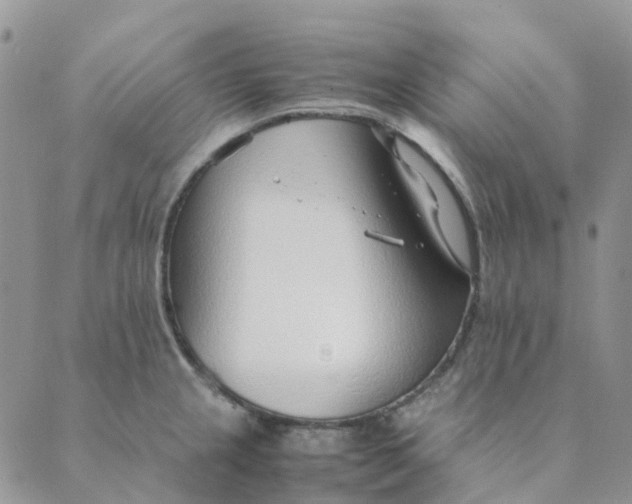 X0000089361237200707061041