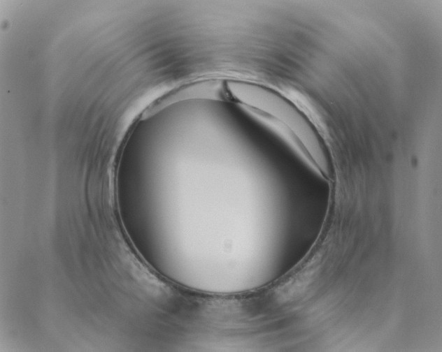 X0000089361238200707061041