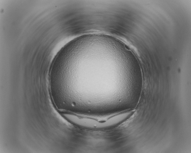 X0000089361239200707061041