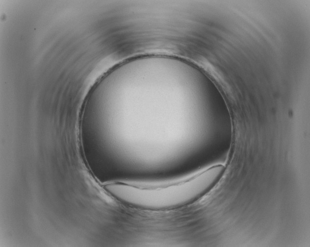 X0000089361240200707061041