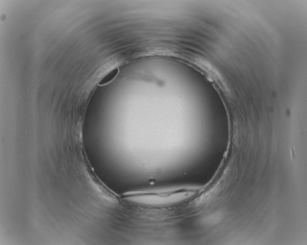 X0000089361241200707061041