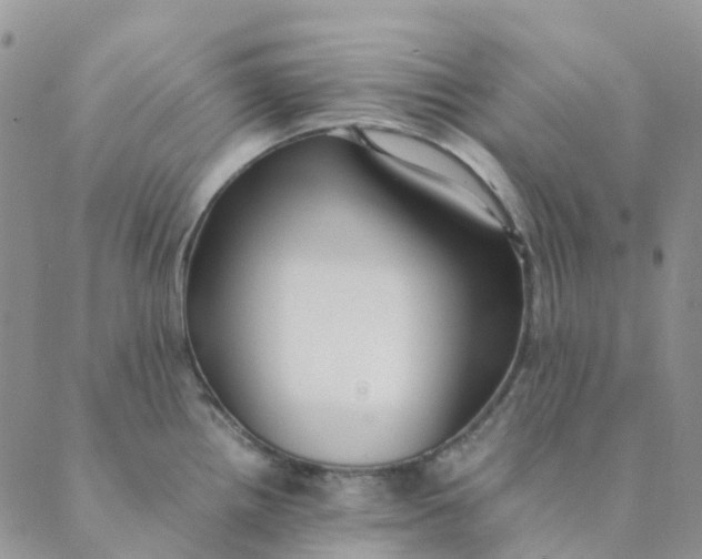 X0000089361242200707061041