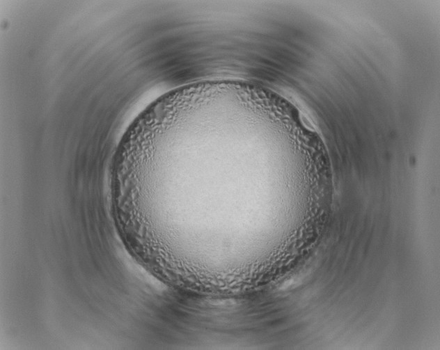 X0000089361243200707061041