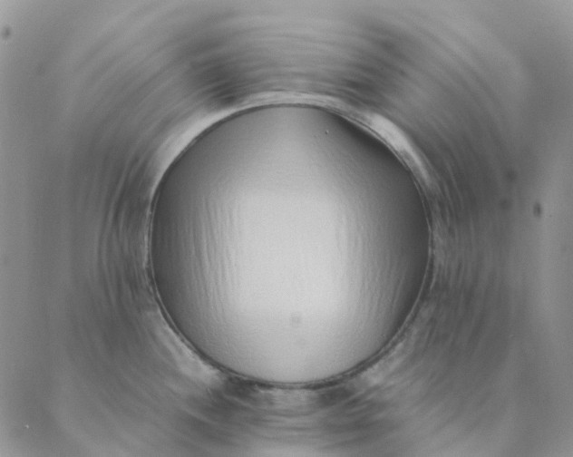 X0000089361244200707061041