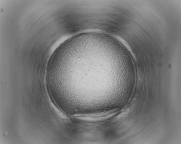 X0000089361245200707061041