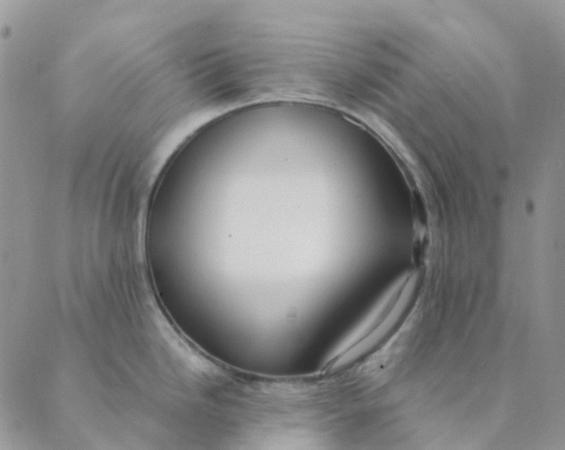 X0000089361246200707061041