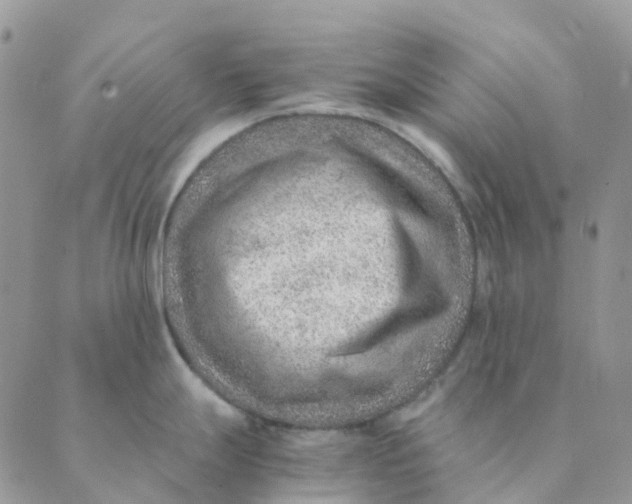 X0000089361247200707061041