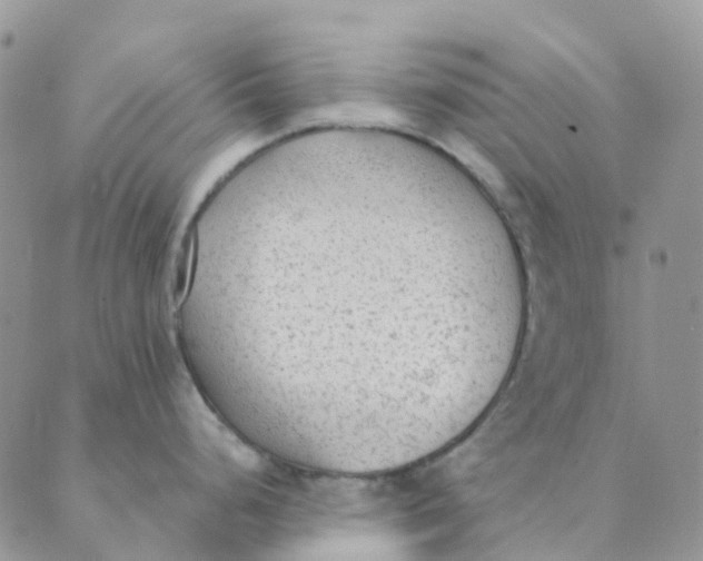 X0000089361248200707061041