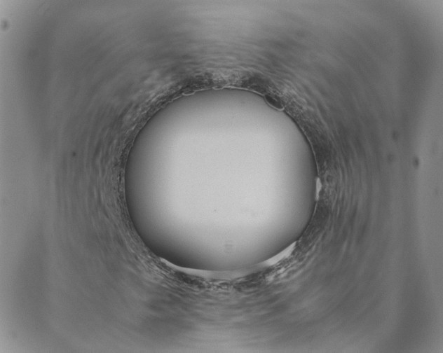 X0000089361249200707061041