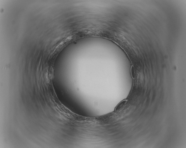 X0000089361250200707061041