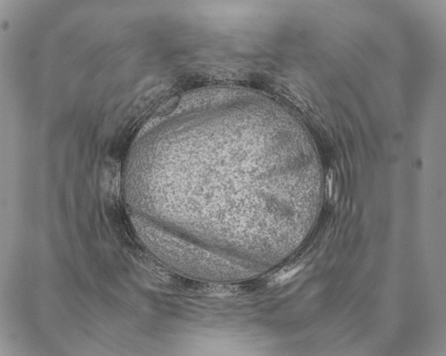 X0000089361251200707061041