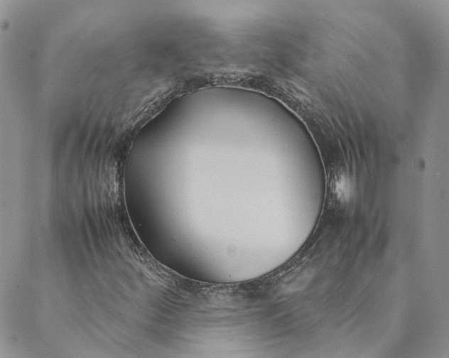 X0000089361252200707061041