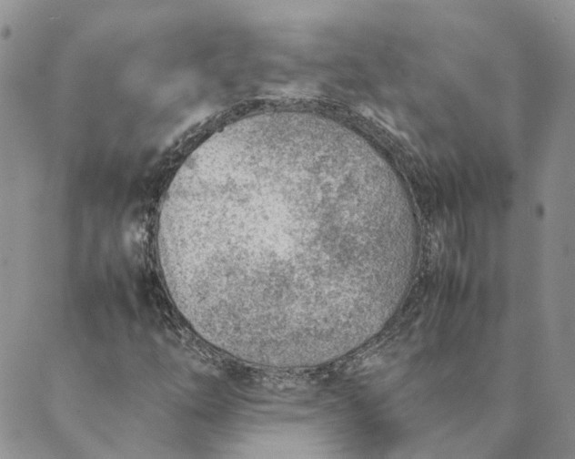 X0000089361254200707061041