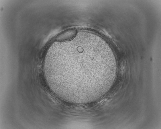 X0000089361255200707061041