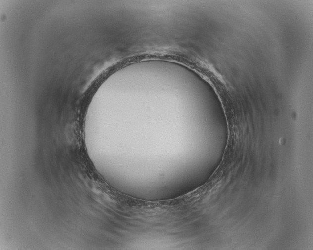 X0000089361256200707061040