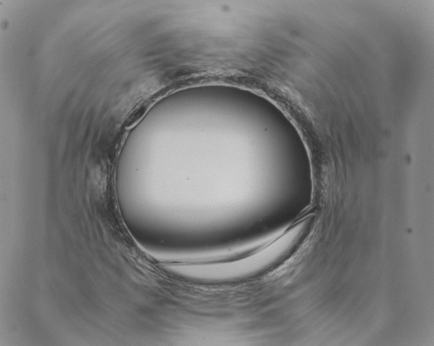 X0000089361257200707061040