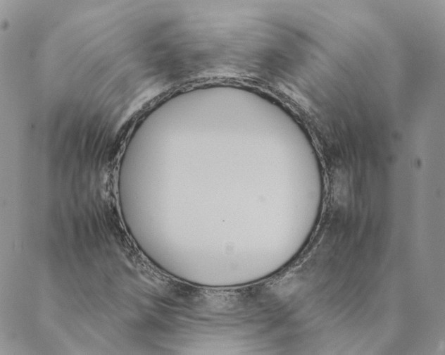 X0000089361258200707061040