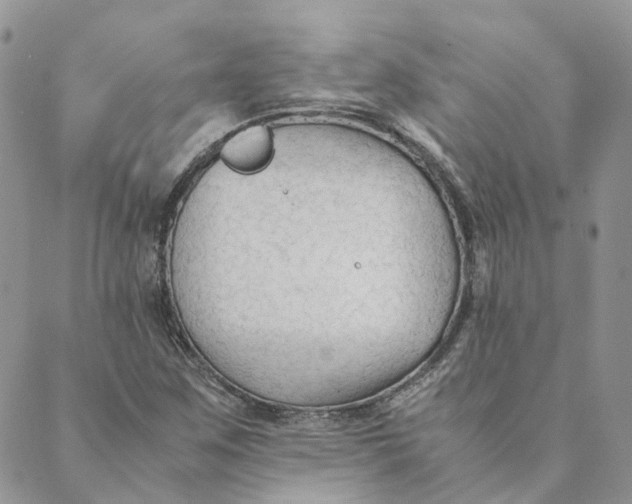 X0000089361259200707061040