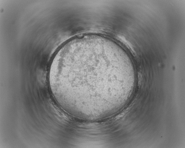 X0000089361260200707061040