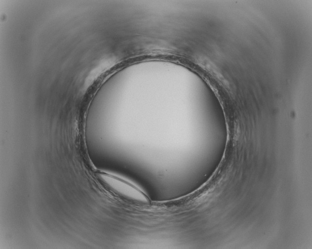 X0000089361261200707061040