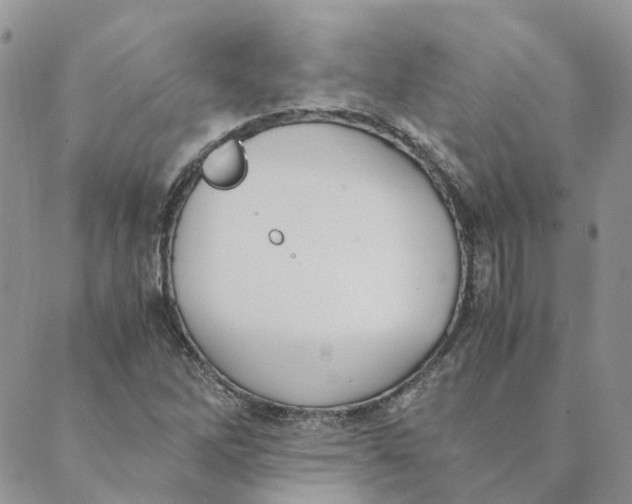 X0000089361262200707061040