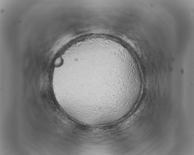 X0000089361263200707061040