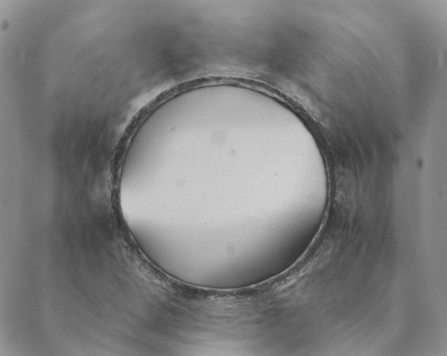 X0000089361264200707061040