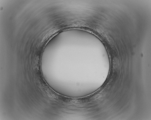 X0000089361265200707061040