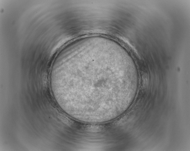 X0000089361266200707061040