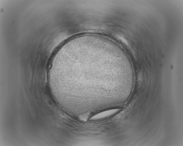 X0000089361267200707061040