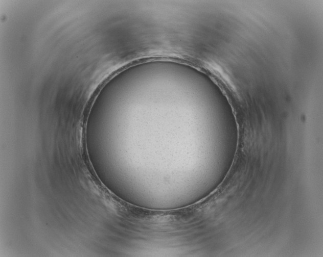 X0000089361268200707061040