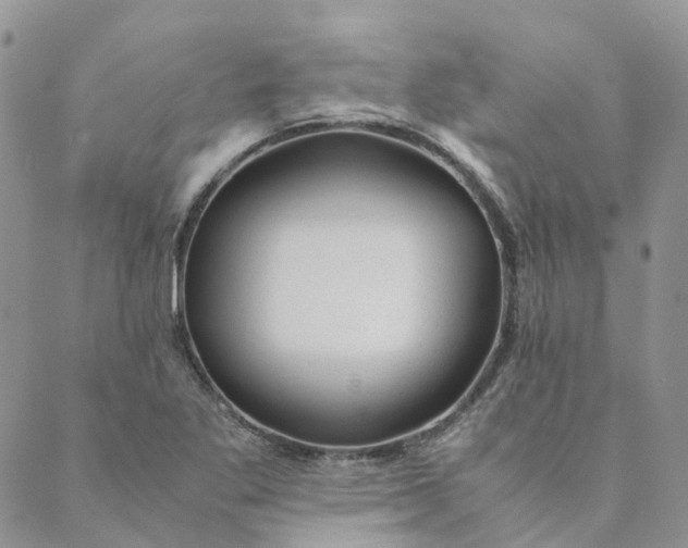 X0000089361269200707061040