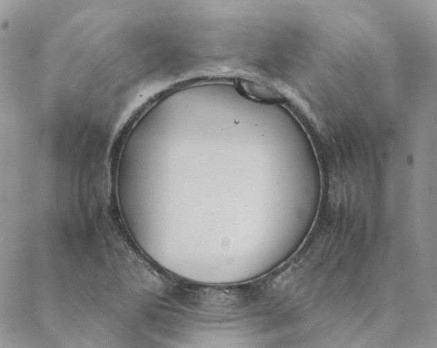 X0000089361270200707061040