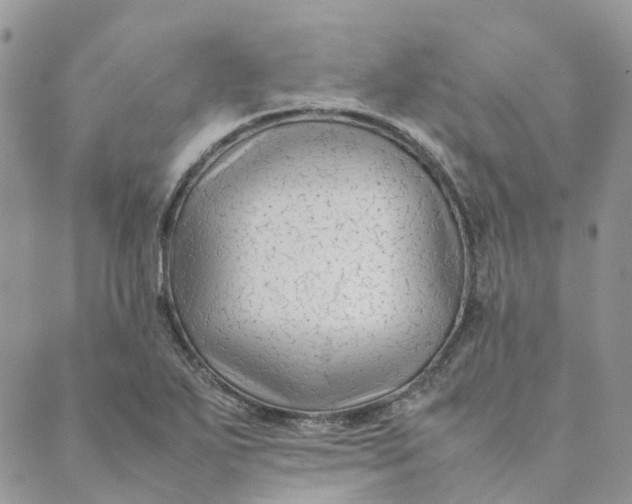 X0000089361271200707061040