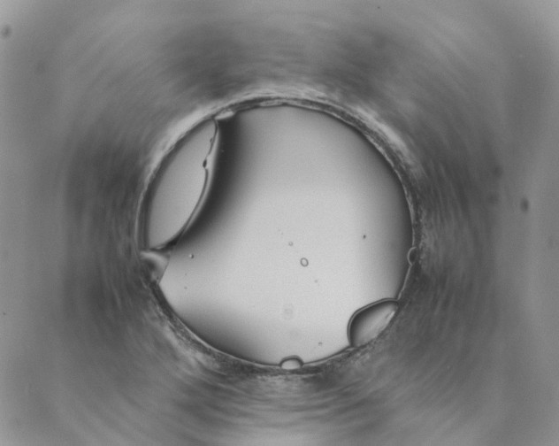 X0000089361272200707061040