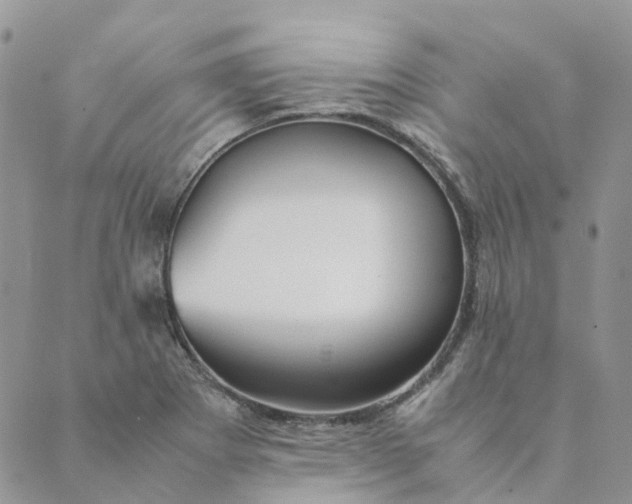 X0000089361273200707061040