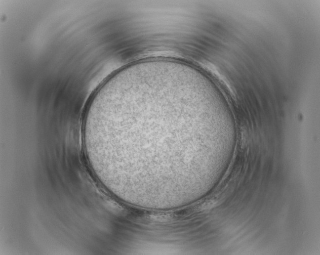 X0000089361274200707061040