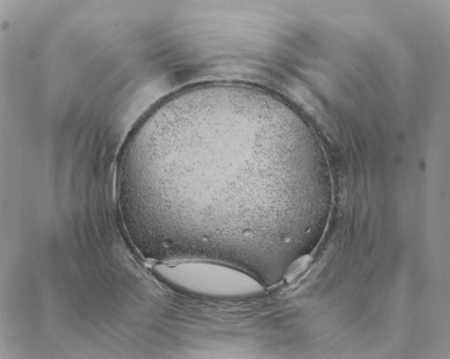 X0000089361275200707061040