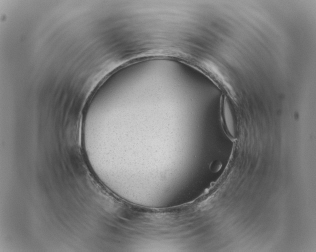 X0000089361276200707061040