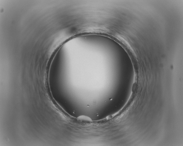 X0000089361277200707061040