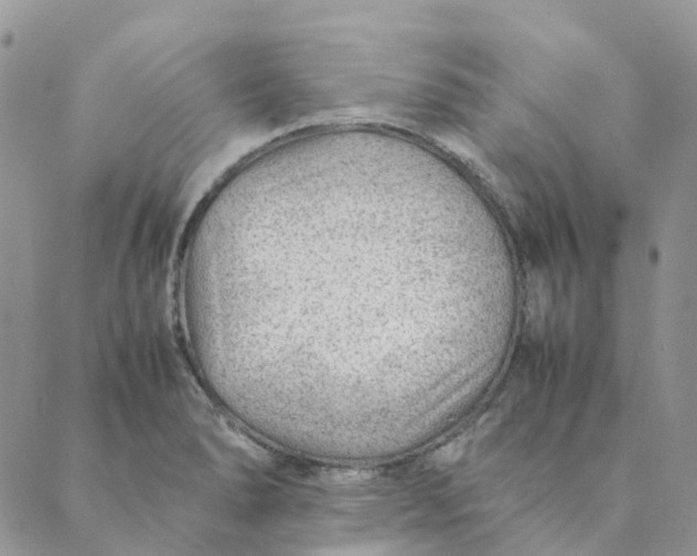 X0000089361278200707061040