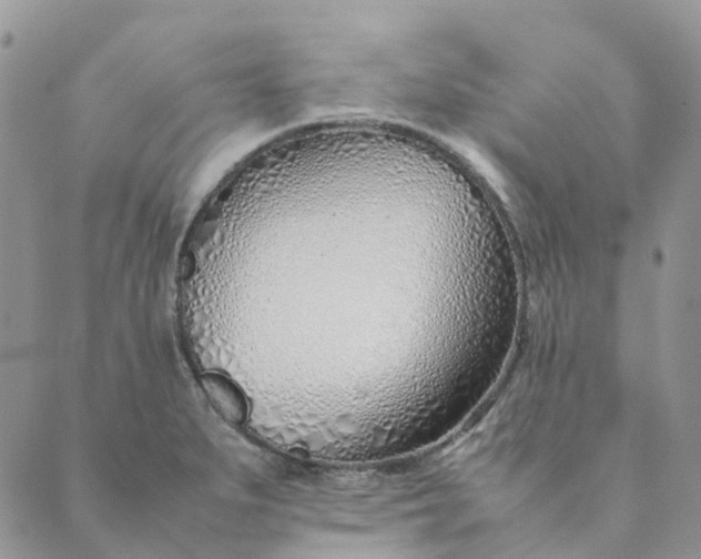 X0000089361279200707061040