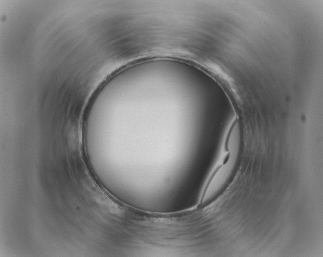 X0000089361280200707061040